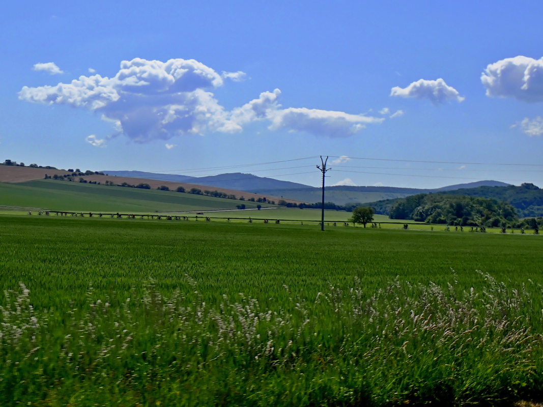 P5253409