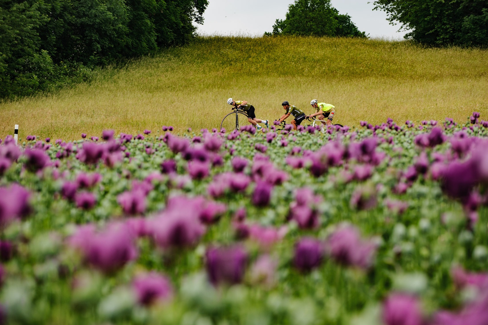 Cyklotour 2026